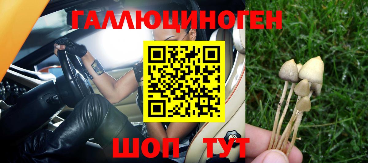 Галлюциногенные грибы мухоморы  Вход с VPN  Томск  Псилоцибиновые грибы Magic Shrooms 